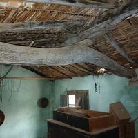 Tronco, trave in legno di Ginepro