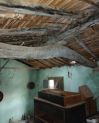 Tronco, trave in legno di Ginepro