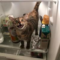 C●mpro Computer, Monitor, ecc. Ritiro