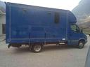 iveco-daily-35c12-2-3-hpi-trasporto-cavalli-pate