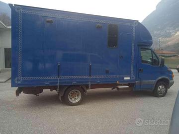 IVECO Daily 35C12 2.3 Hpi Trasporto Cavalli Pate