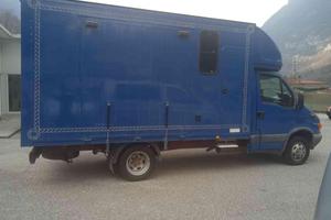 IVECO Daily 35C12 2.3 Hpi Trasporto Cavalli Pate