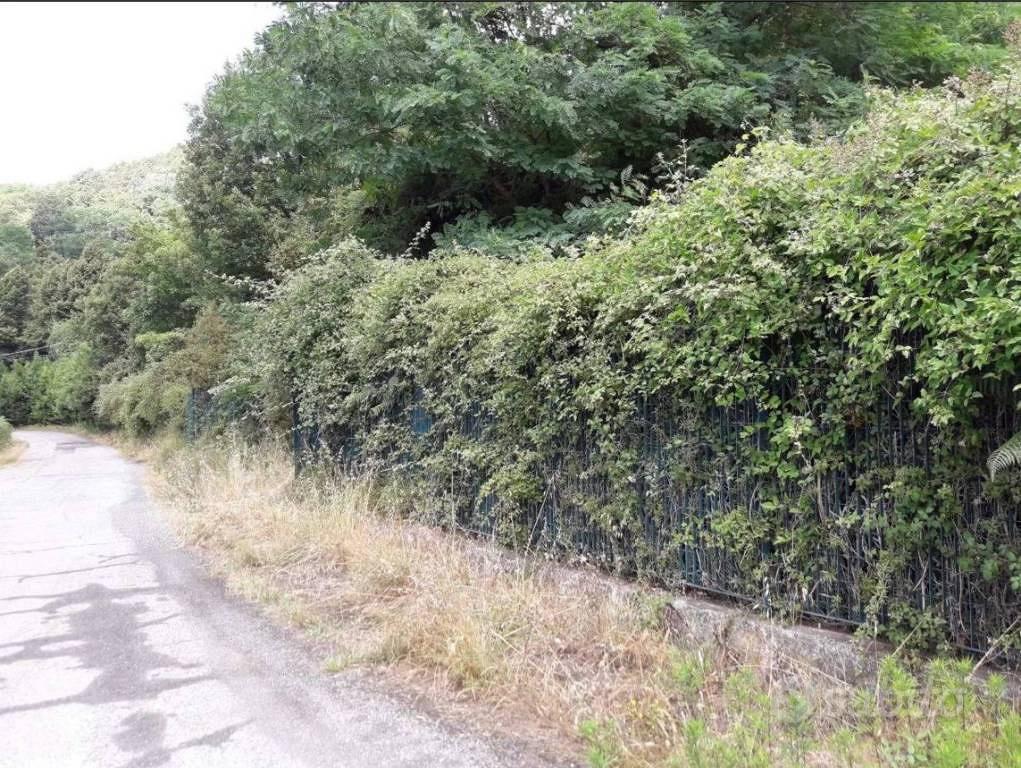 Immobile in asta di 115688 m² a Follo - Vista 3