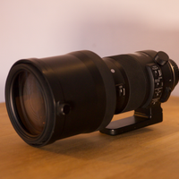 Sigma 150-600mm f/5-6.3 DG OS HSM per canon