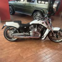 Moto Harley Davidson muscle