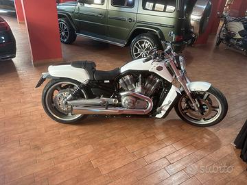 Moto Harley Davidson muscle
