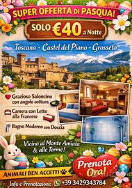 Monte Amiata appartamentino a Castel del Piano