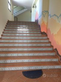 Immobile uso commerciale