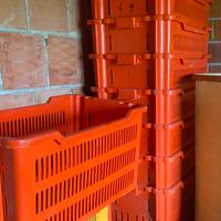 Cassette in plastica per uva