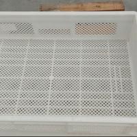 Cassette forate 60x40x13 cm N.40