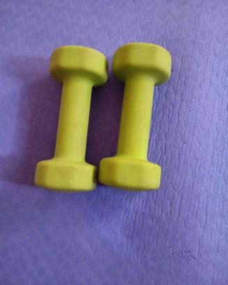 coppia manubri da 2kg
