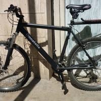 Bicicletta mountainbike Cannatella