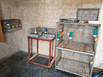 Gabbie per uccellini e accessori vari