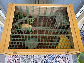 Terrario per tartaruga