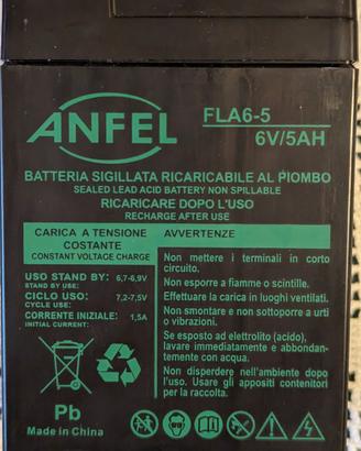 Batteria ricaricabile piombo AGM 6v