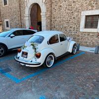 Volkswagen Maggiolino