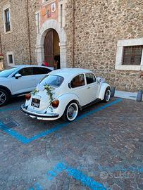 Volkswagen Maggiolino