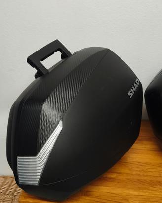 bauletti laterali shad moto