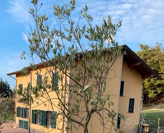 Splendida casa rinnovata a Baigno-Camugnano