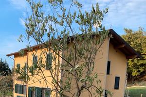 Splendida casa rinnovata a Baigno-Camugnano
