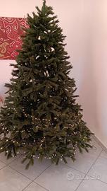 Albero  di natale 