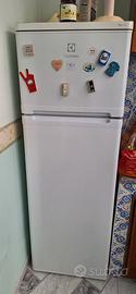 Frigorifero Electrolux