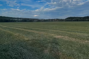 Terreno agricolo pianeggiante irriguo dal Tevere