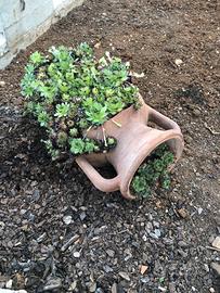 Anfora in terracotta