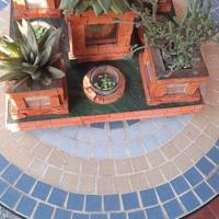 fioriera in terracotta per piante grasse