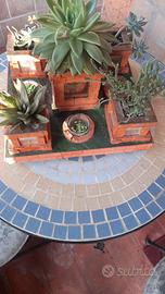 fioriera in terracotta per piante grasse