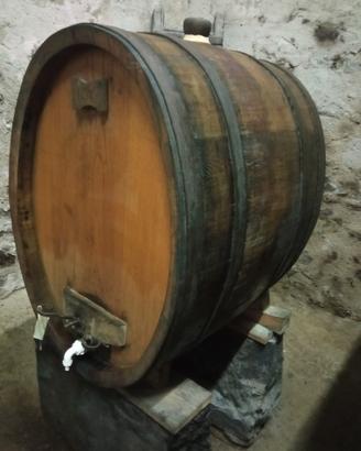 Tonneaux vino capienza 440lt