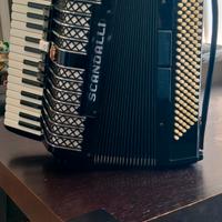 Fisarmonica professionale