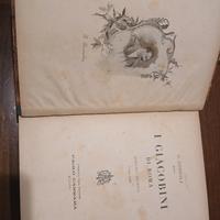  I Giacobini di Roma (1899) - G. Gozzoli - Romanzo