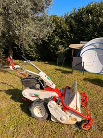 Trincia tutto tagliaerba Kawasaki 250