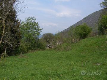 Terreno edificabile/agricolo in Valle d'Intelvi