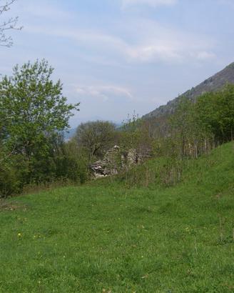 Terreno edificabile/agricolo in Valle d'Intelvi