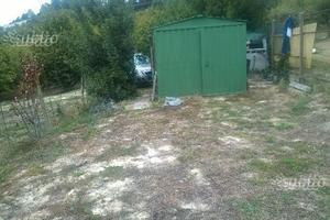 Terreno adibito ad orto e frutteto