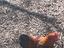 Immagine 2