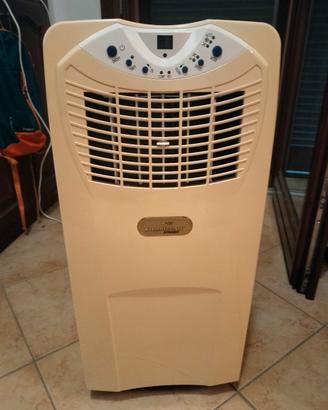 condizionatore portatile 9000 btu