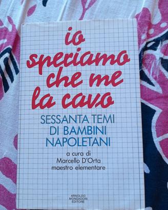 Io speriamo che me la cavo 