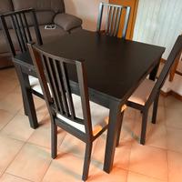Set IKEA Tavolo BJURSTA Allungabile + 4 sedie