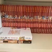 Fairy Tail - serie completa