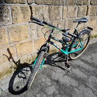 mountain bike