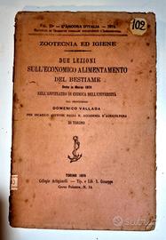 Libro Antico 1874 Zootecnia Alimentazione Bestiame