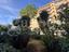 Immagine 21