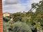 Immagine 29