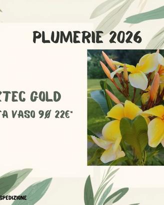 Piante di Plumeria assortite