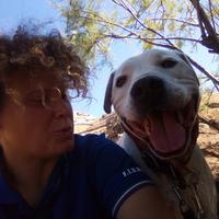 Dog sitter/dog walker