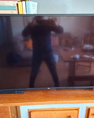 TV LG 49 pollici 