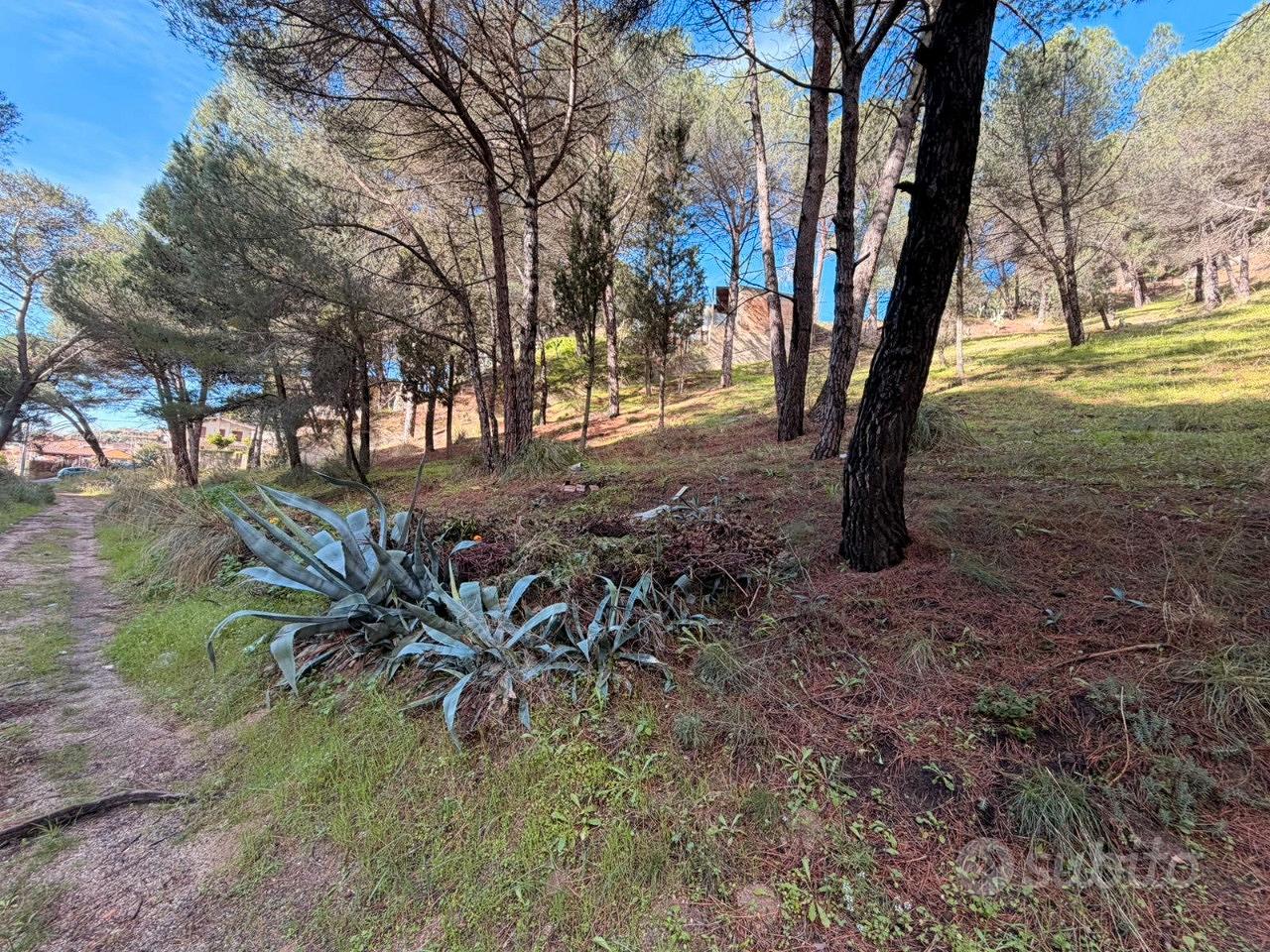 Terreno Boschivo Terreti 20650 Mq - Altro